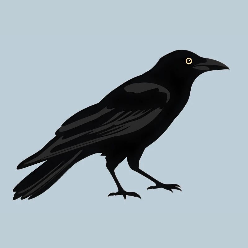Raven