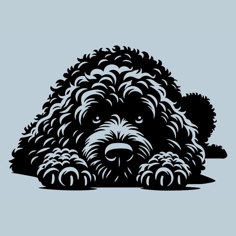 Spanischer Wasserhund