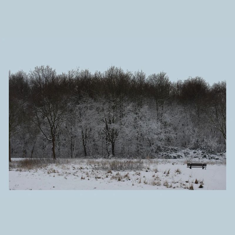 Banc de parc d’hiver dans un paysage enneigé