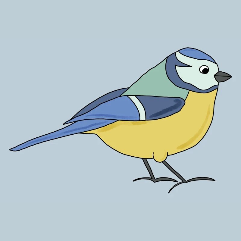 small blue, multicoloured