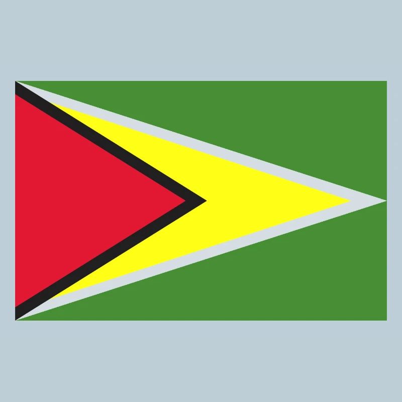 Guyana flag