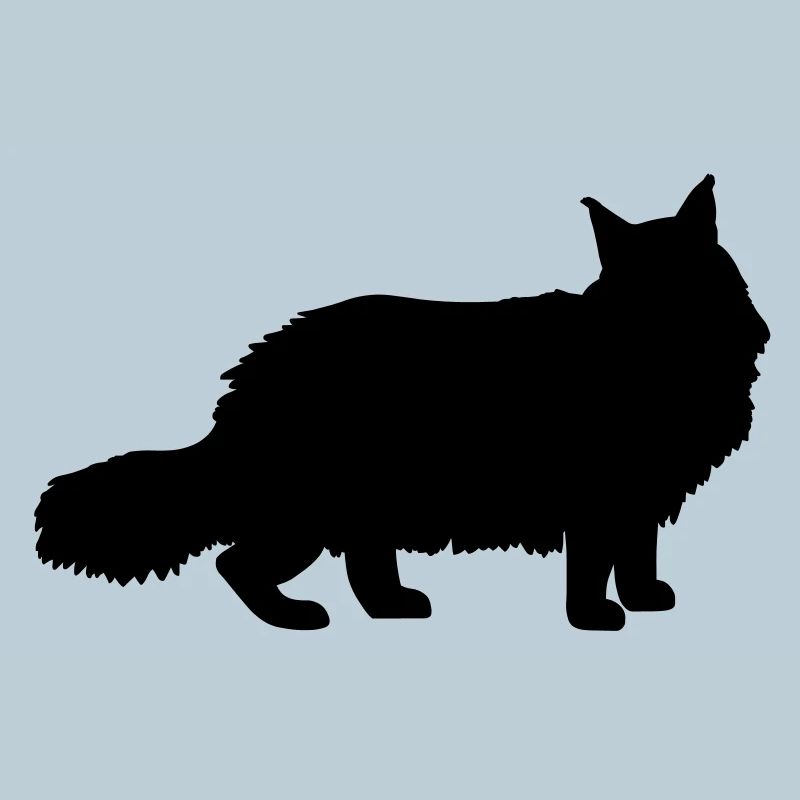 Maine Coon