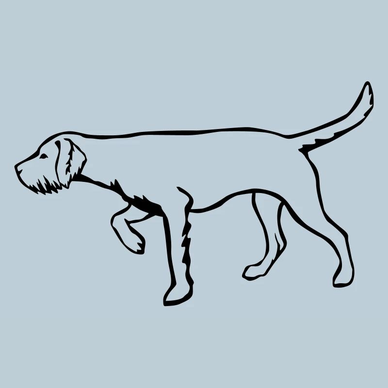 Magyar Vizsla