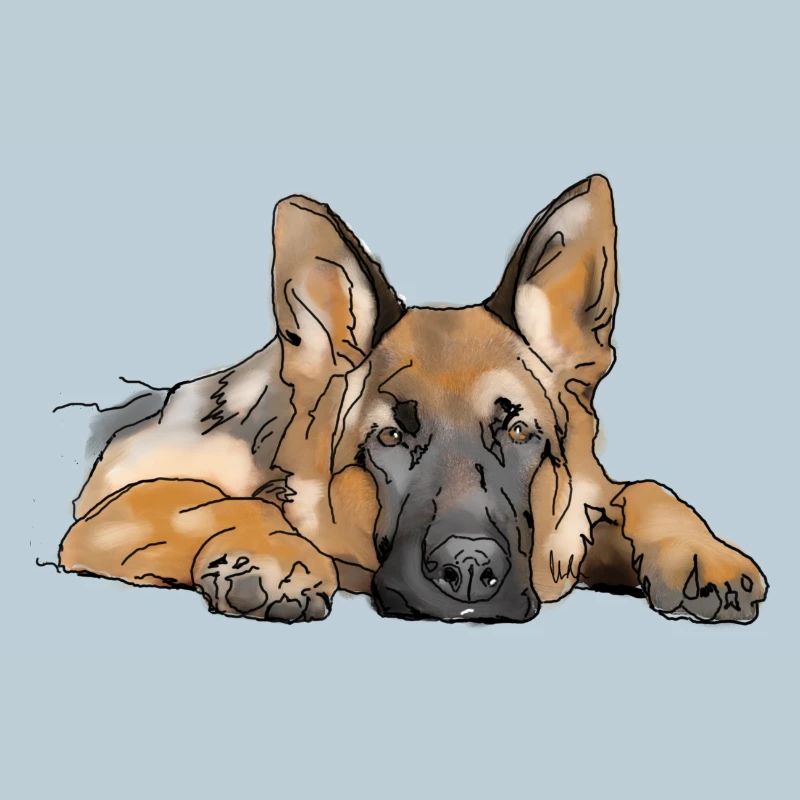 Chien de berger