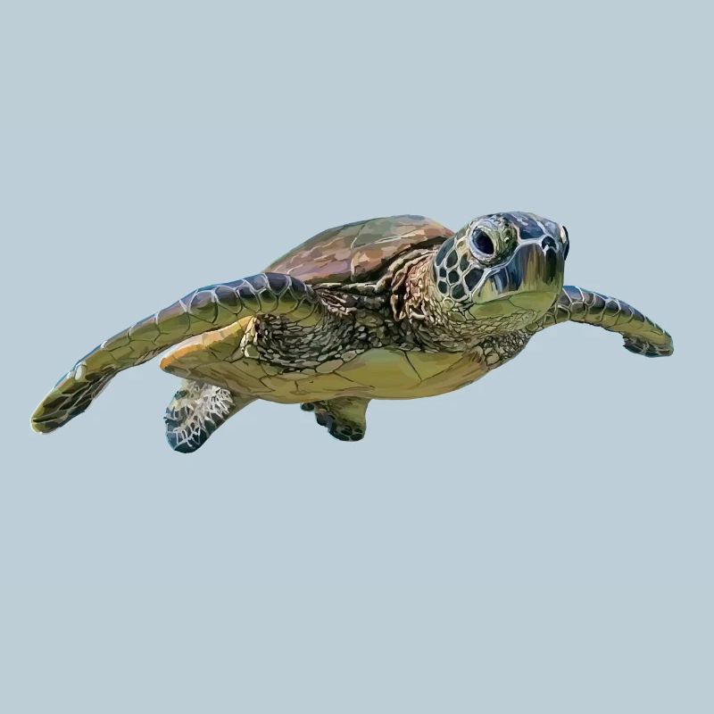 Turtle