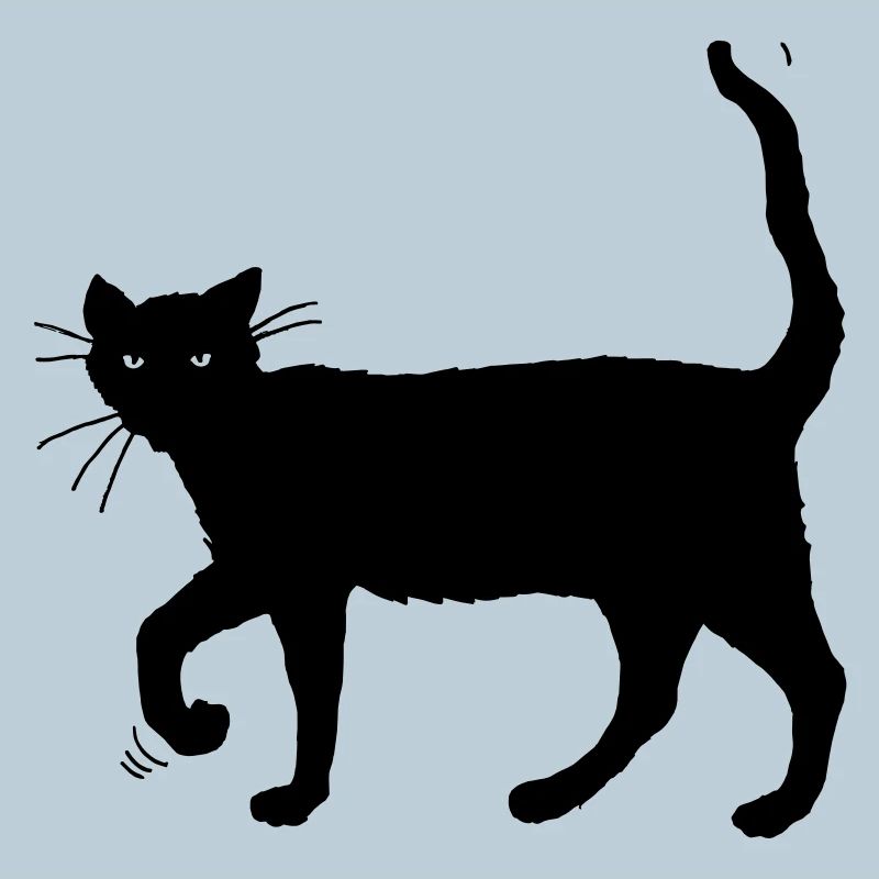 Chat noir