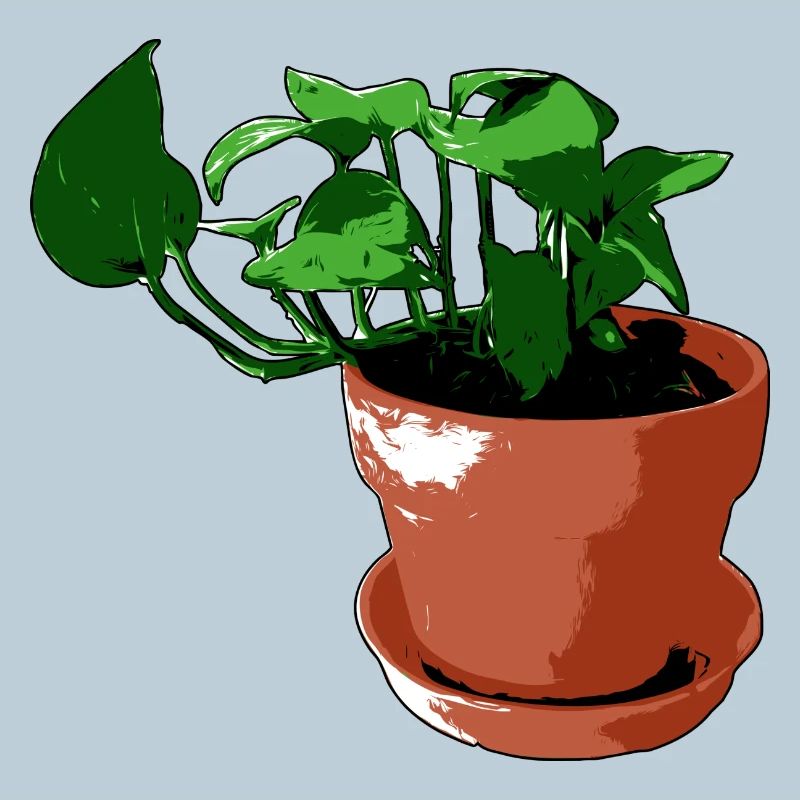 Plante