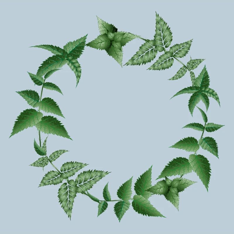 Couronne d’ortie dans des tons sombres de vert