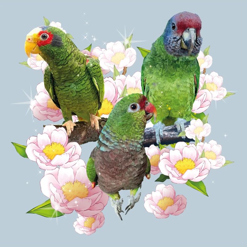 Perroquets