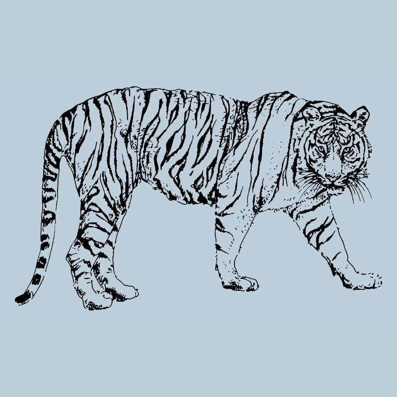 TIGRE