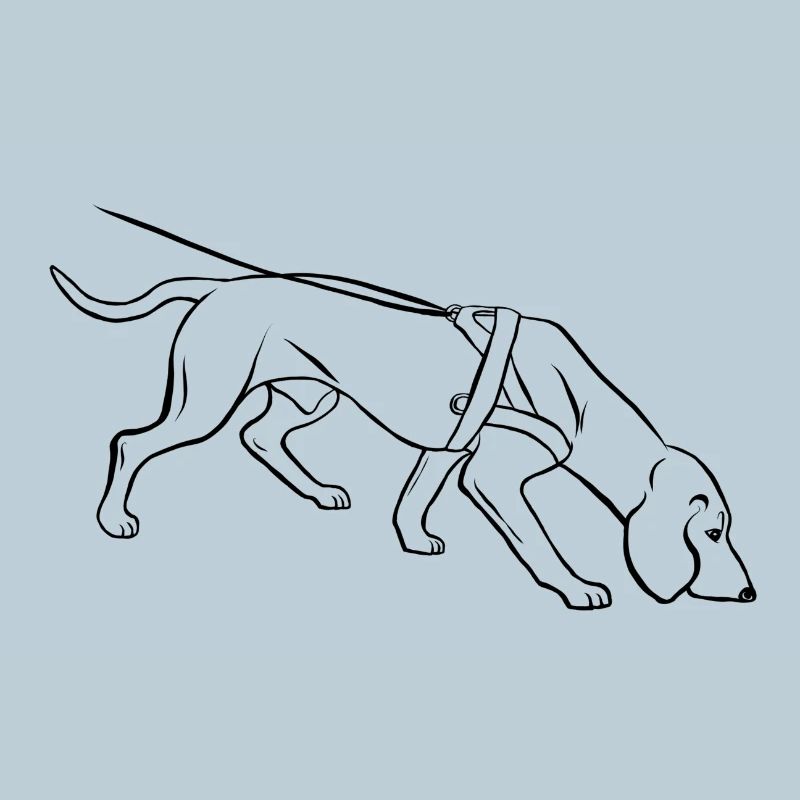 bloodhound