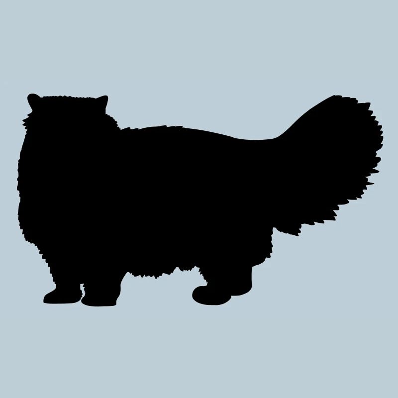 Chat persan