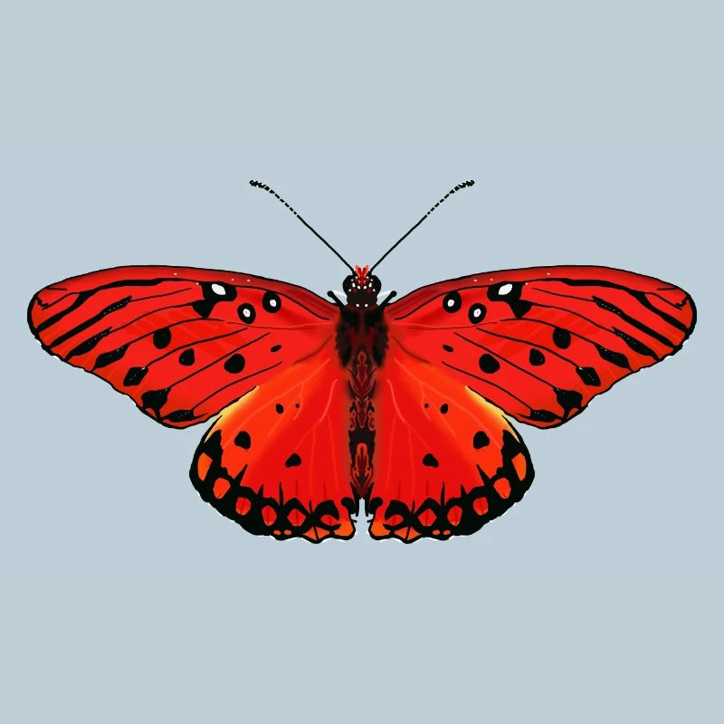 Fiery red butterfly