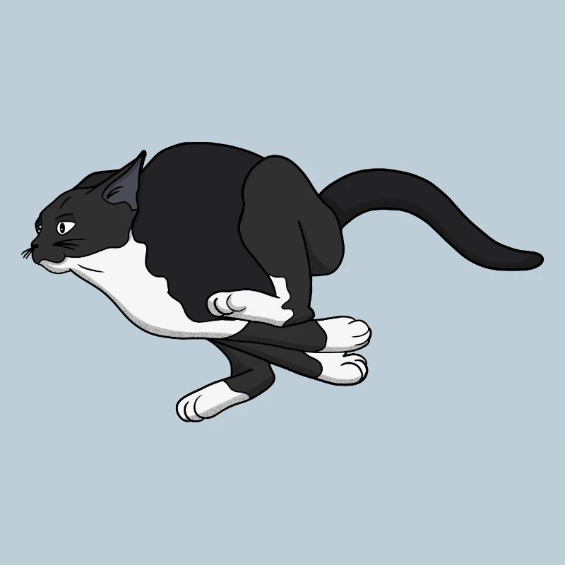 Midnight Leap Noir Cat