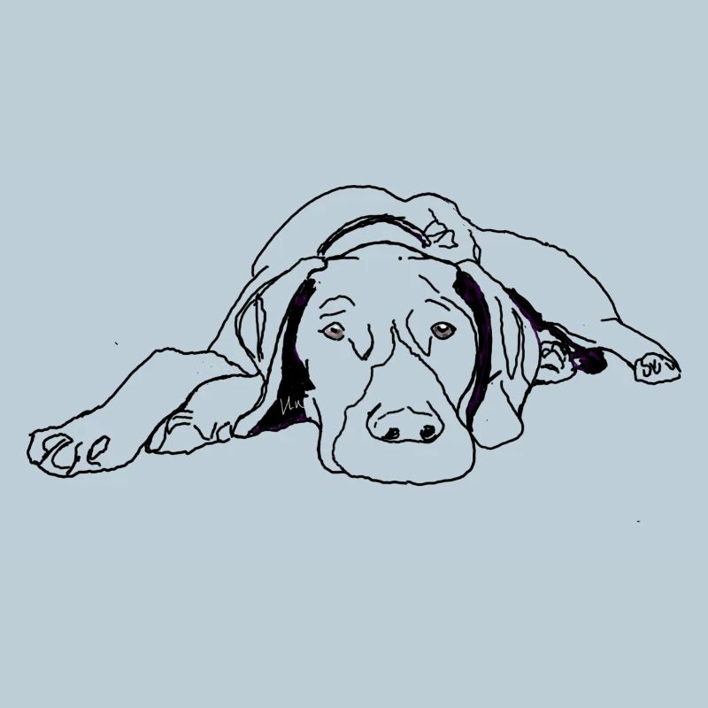 Pointer Deutsch Kurzhaar