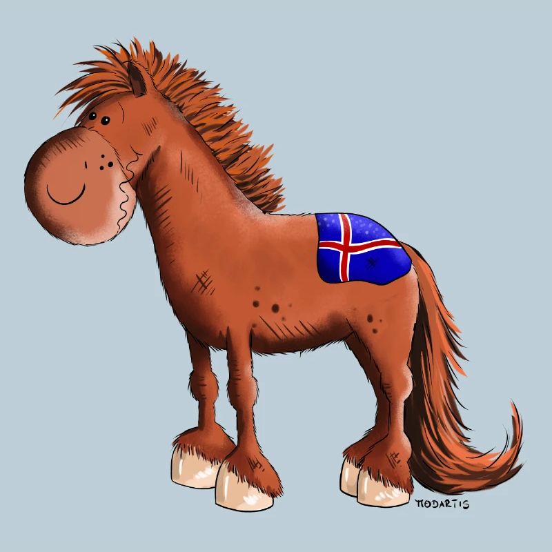 Isländer mit Fahne