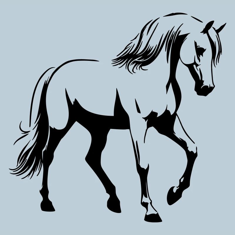 Pferd Araber