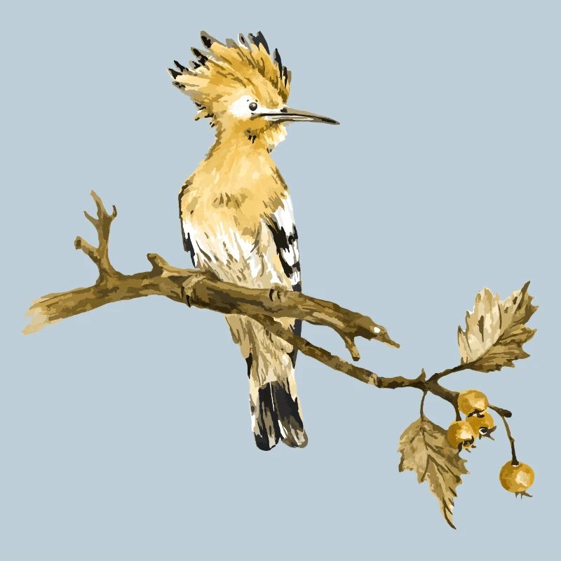 Oiseau coloré