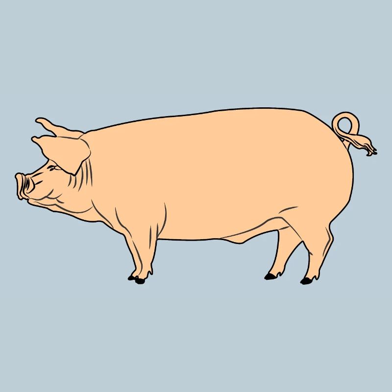 Pink pig