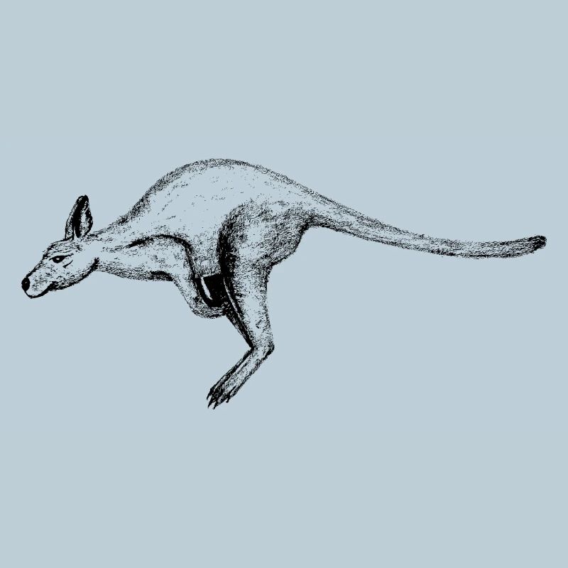 Känguru