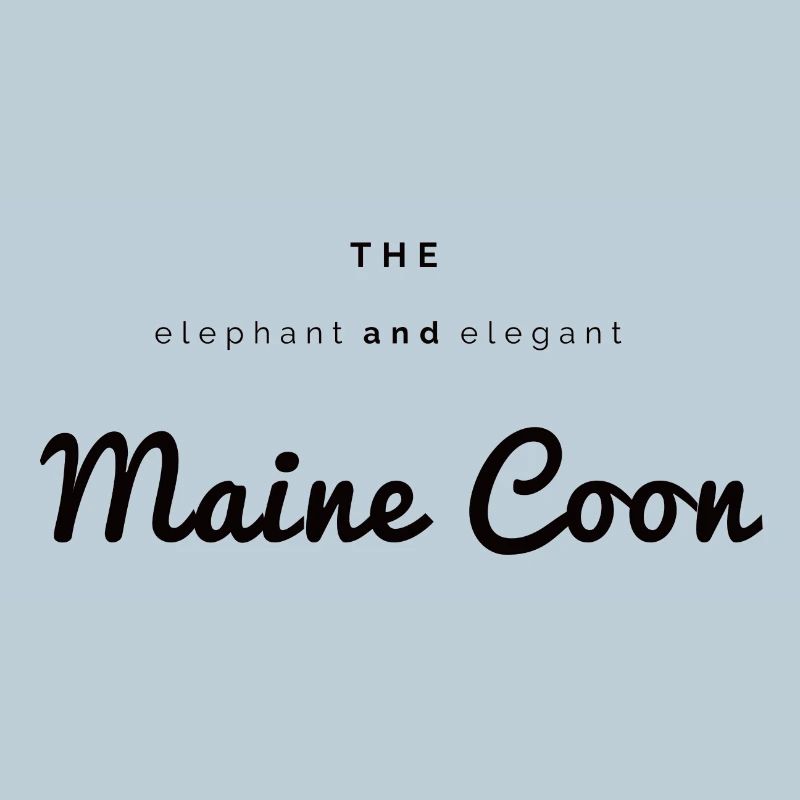 Der Elefant und elegante Main Coon