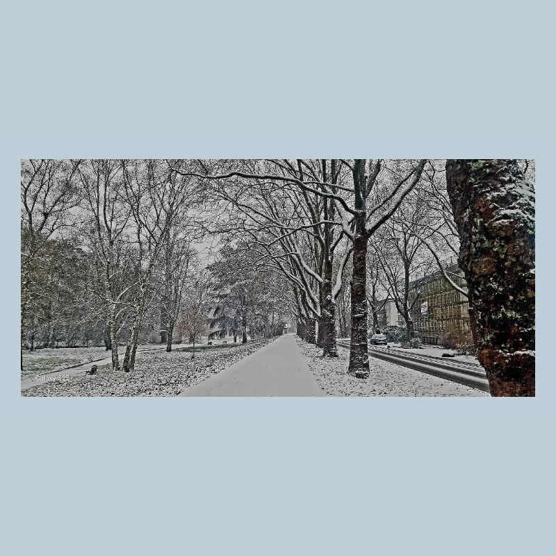 Winter avenue in snowfall