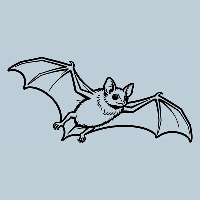 chauve-souris