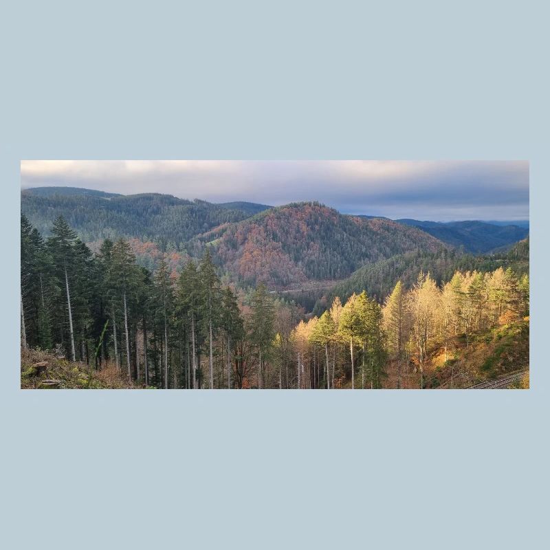 Herbstliche Waldlandschaft mit Sonnenlicht