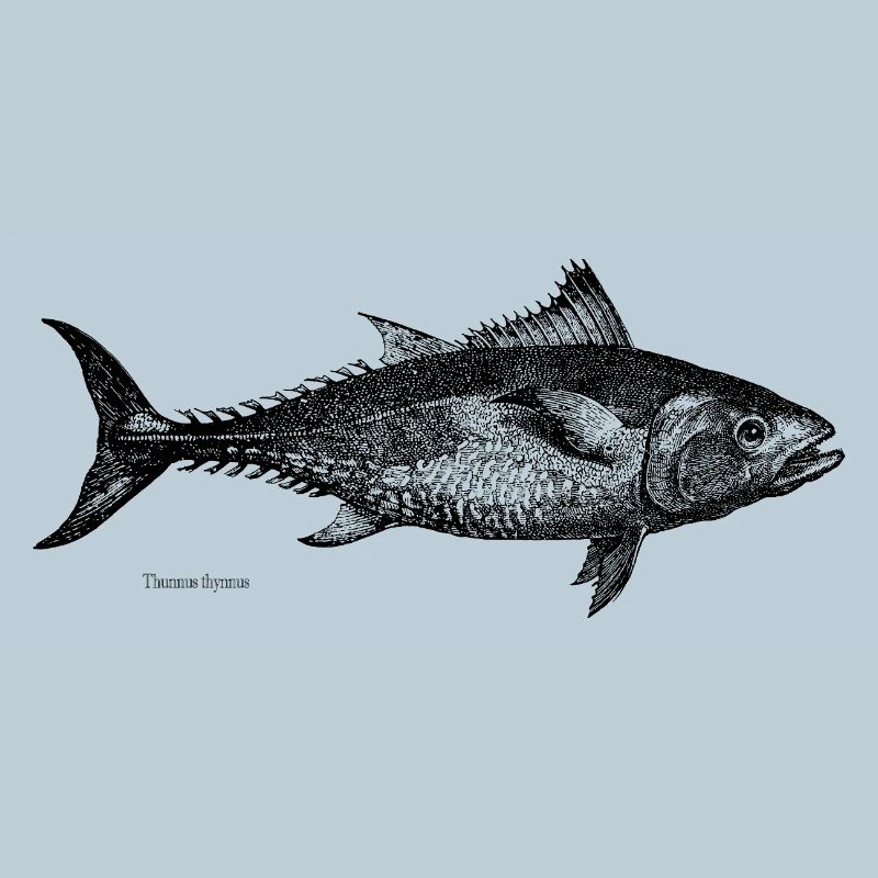 tuna