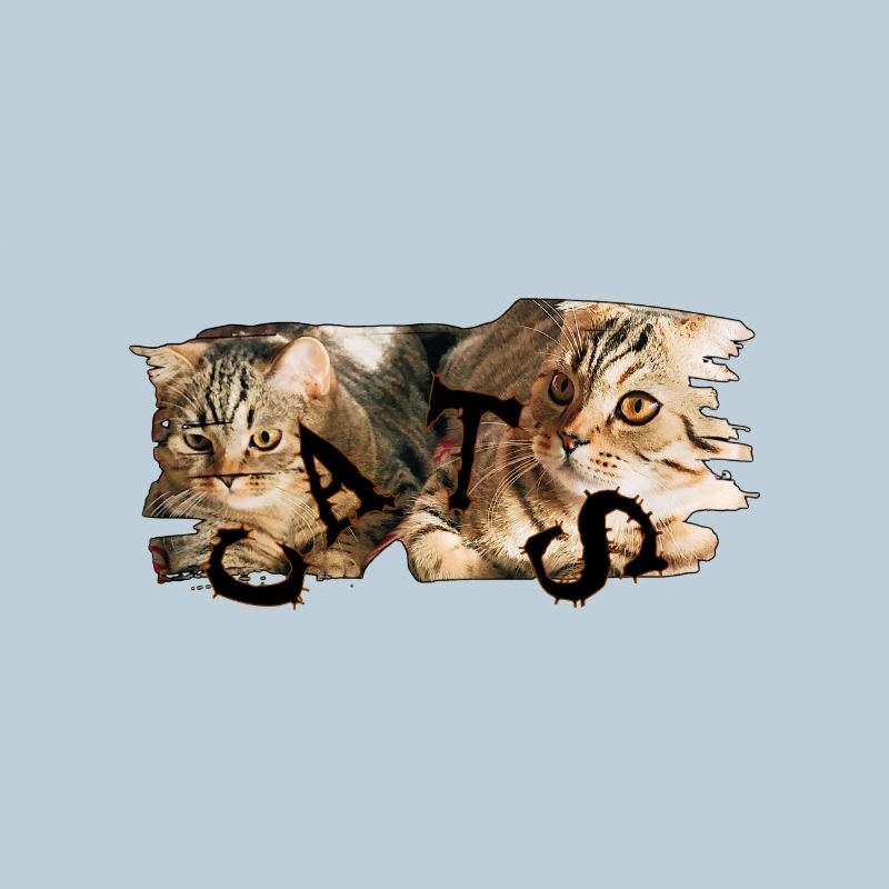 Katzen-Collage: Zerrissene Fellkunst