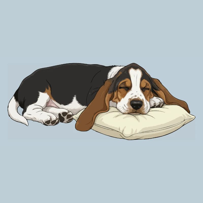 Sleeping Basset Hound on Pillow