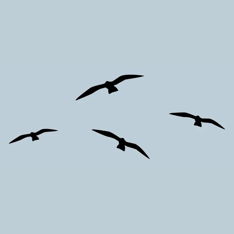 Fliegende Möwe