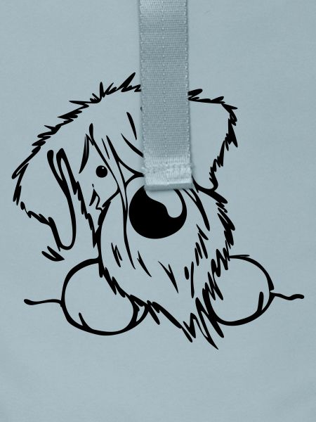 Neugieriger Schnauzer