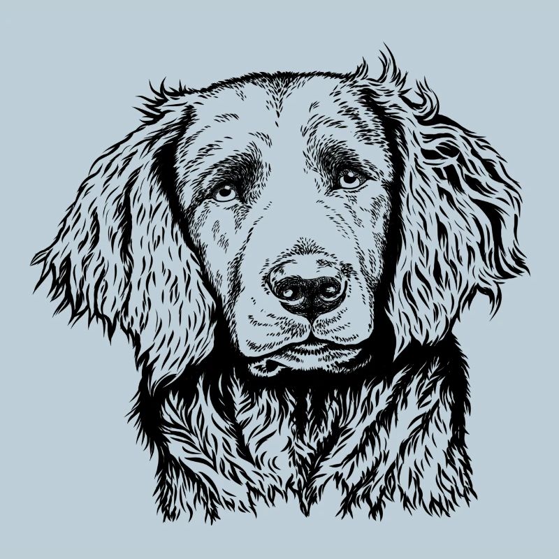 Portrait de caille