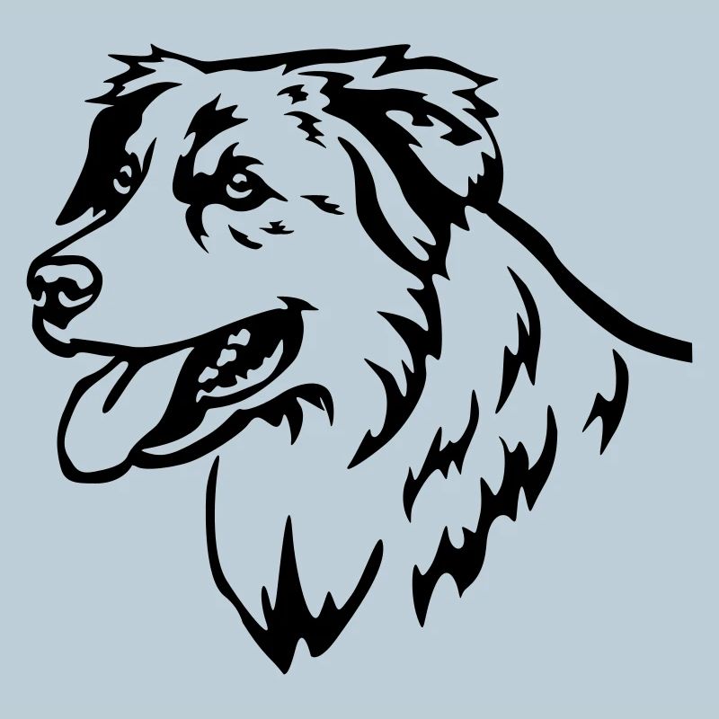 Australian Shepherd Head
