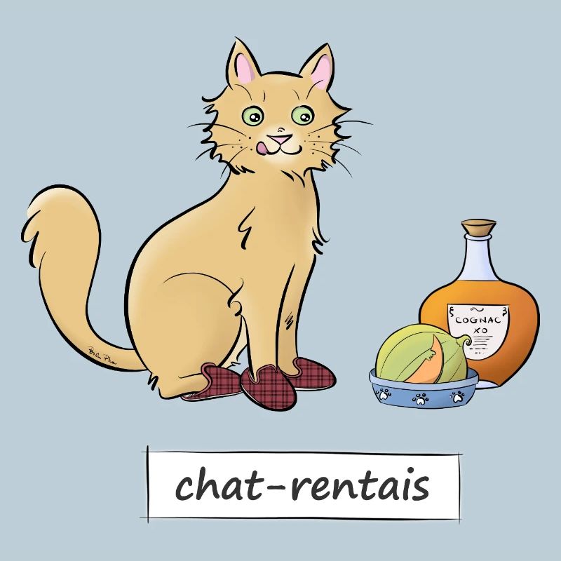 Chat-rentais