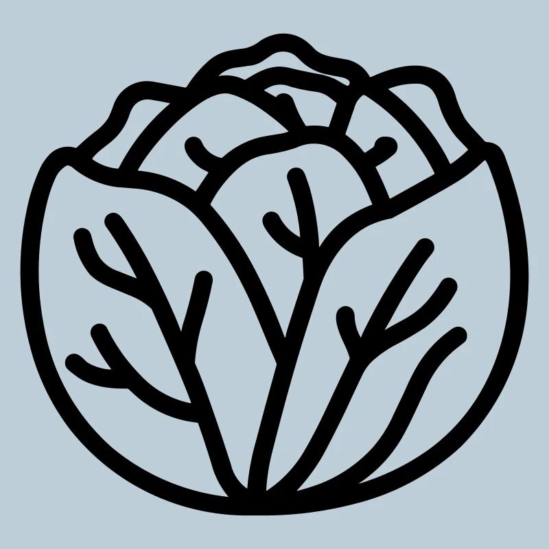 cabbage