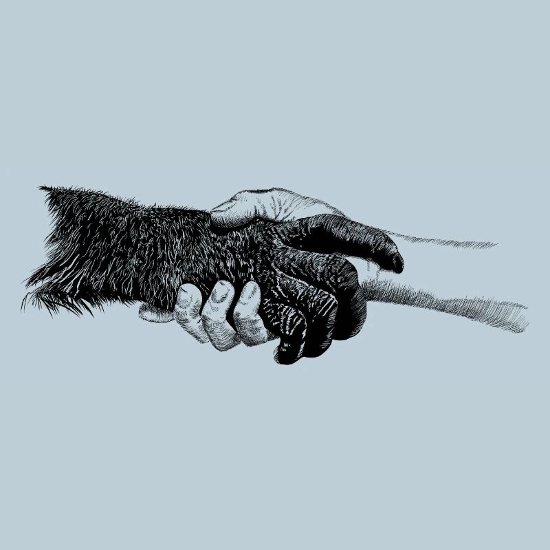 Hands