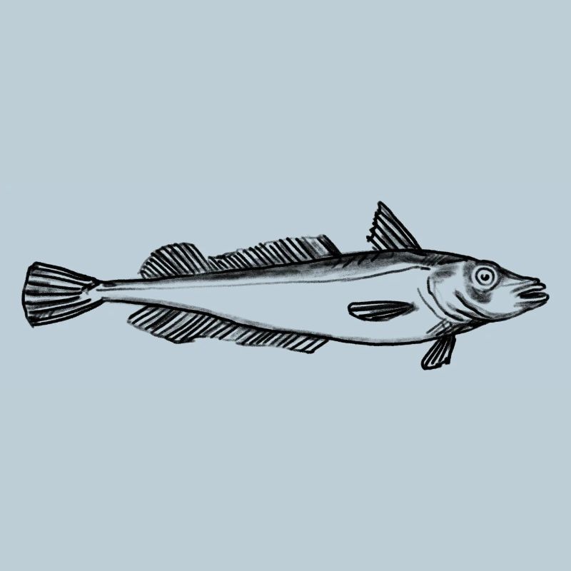 Fish: hake, angler motif