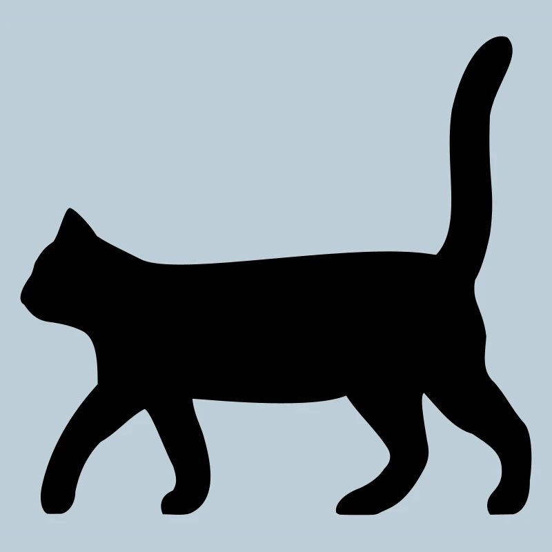 black cat