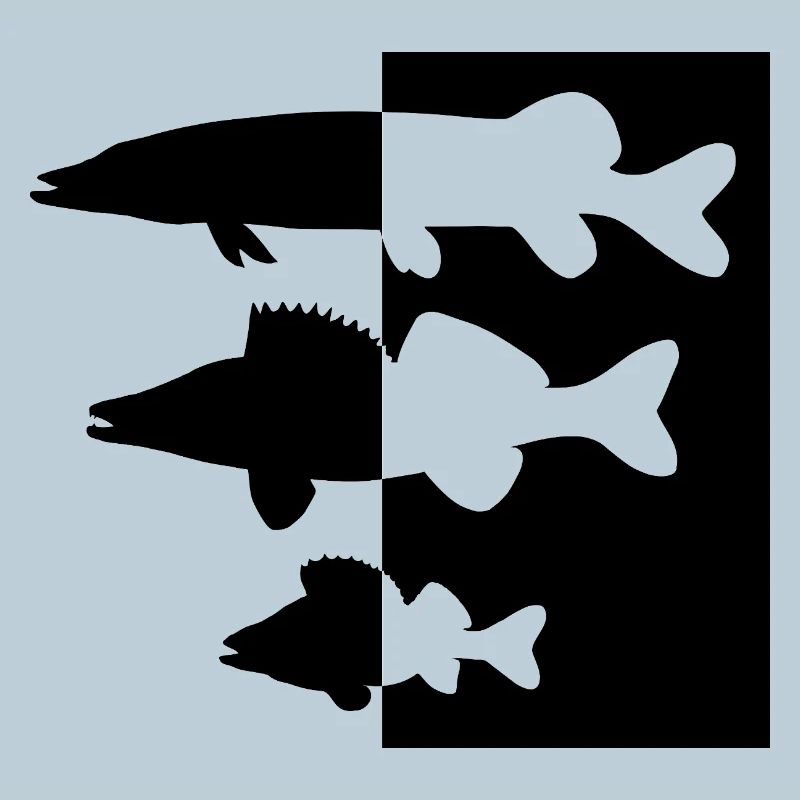 Pike and zander perch