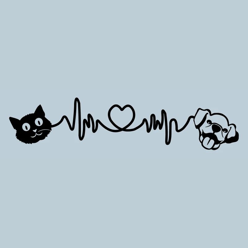 Cardio coup dur chien et chat animaux de compagnie
