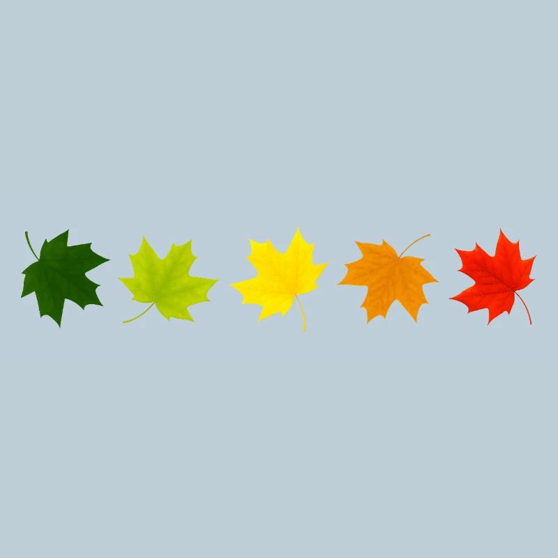 Autumn is here