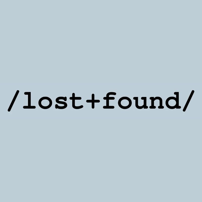 Lost+Found - Ordner /lost+found/
