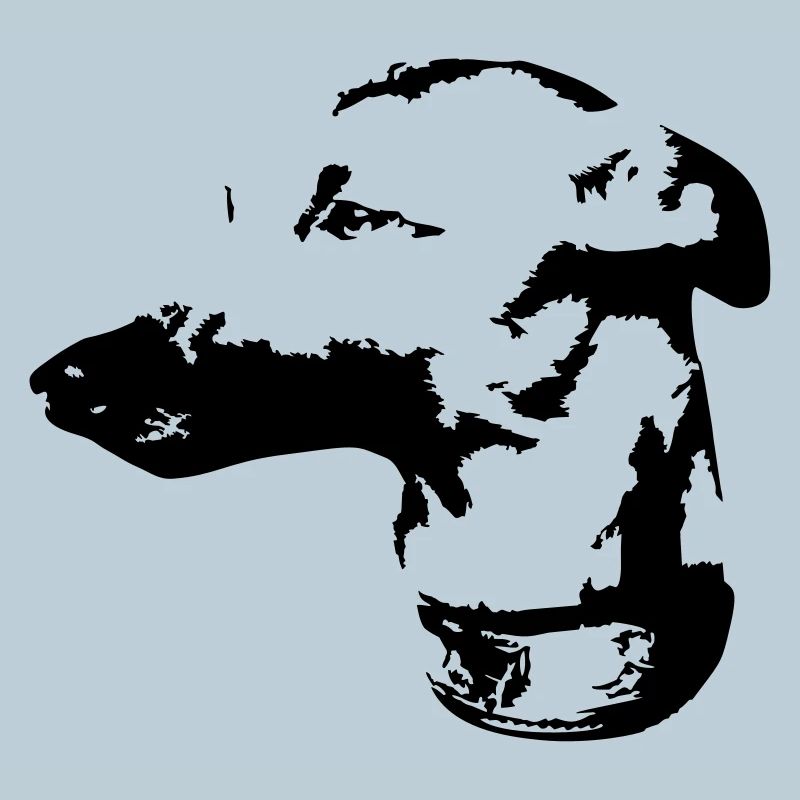 Tête de whippet