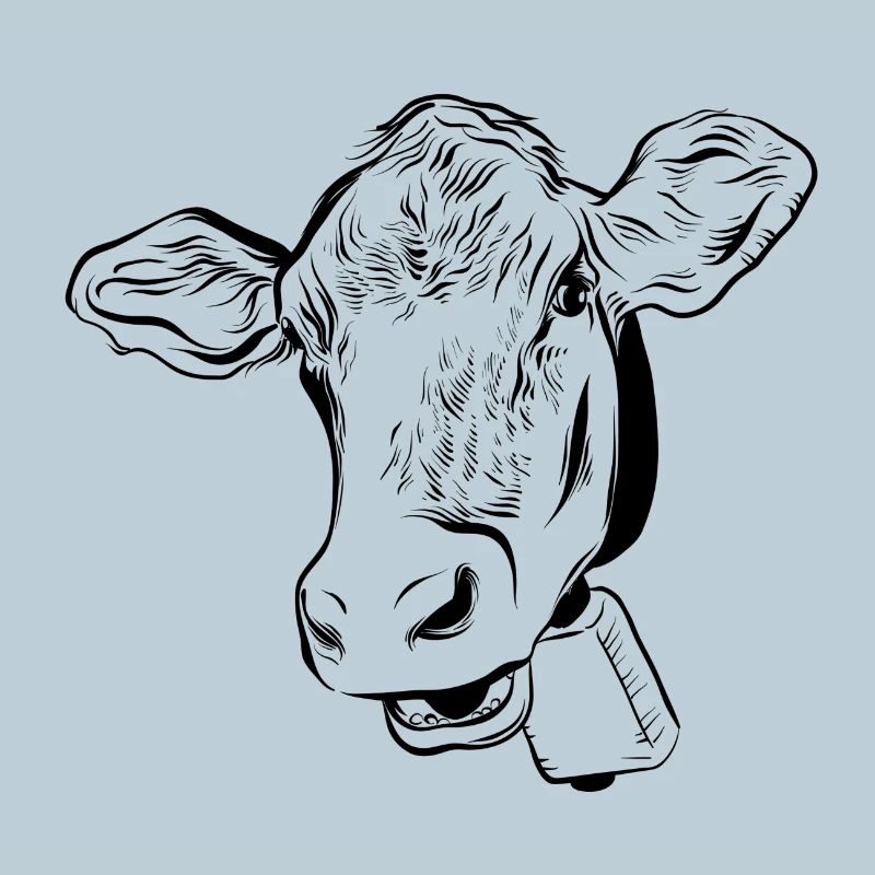 Vache Vaches
