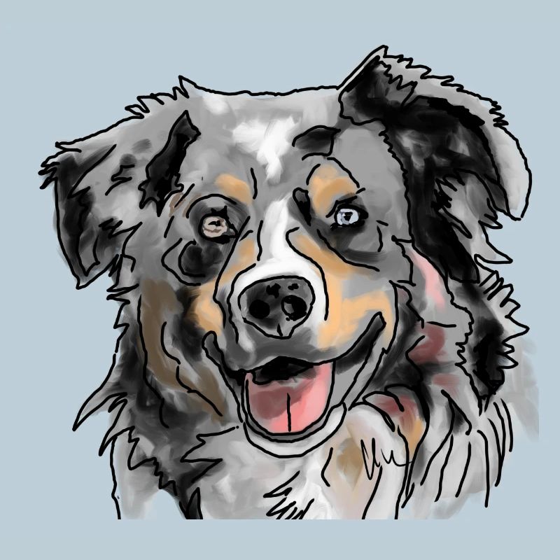 Australian Shepherd