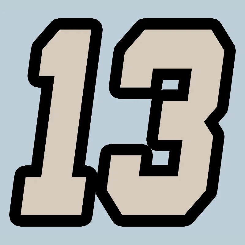 NUMMER DREIZEHN 13