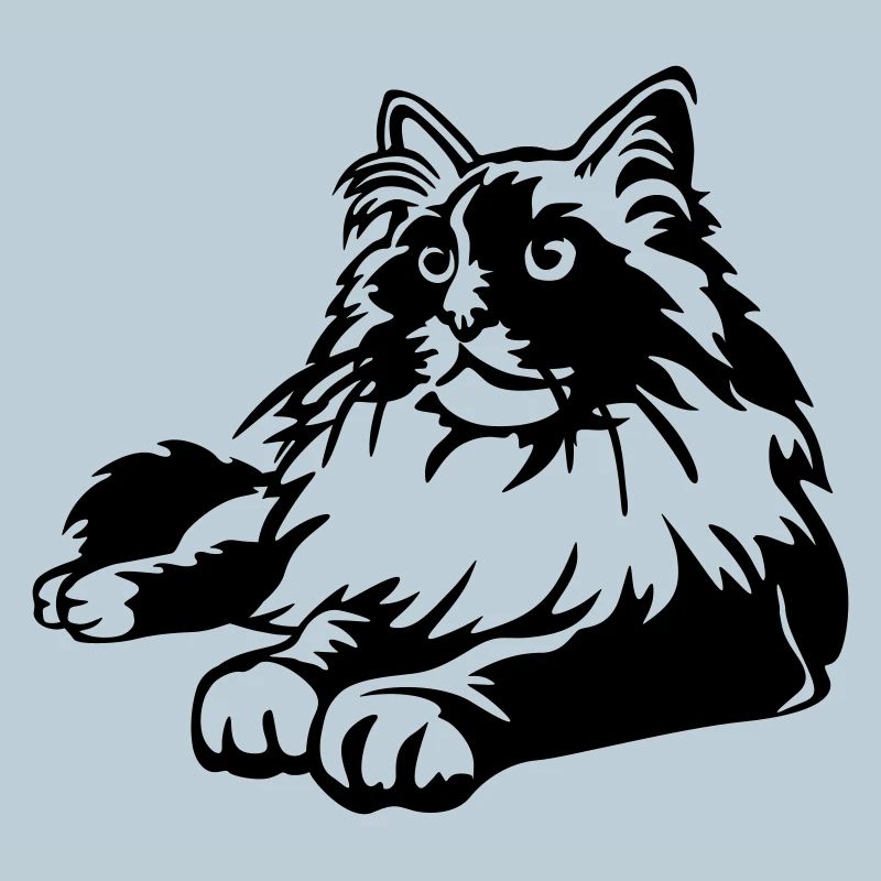 Ragdoll Cat