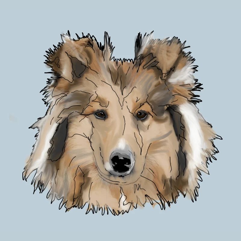 Collie